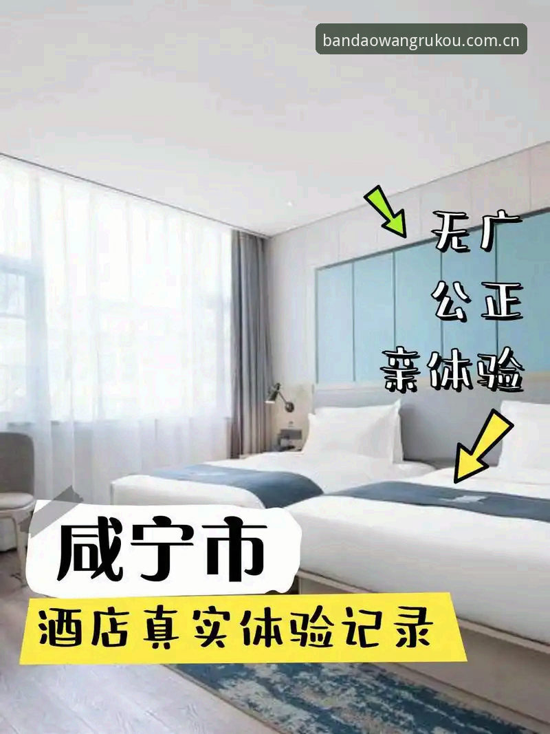 半岛体育官网与同类平台对比：我的真实体验与选择指南