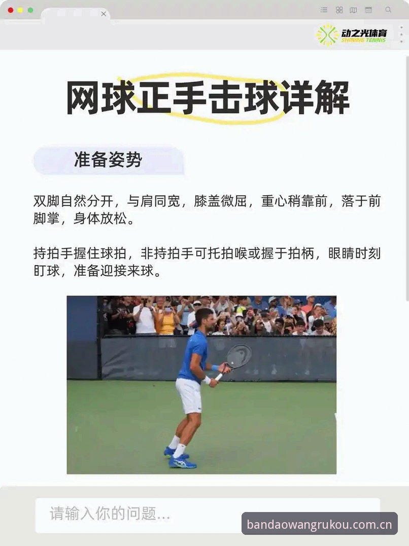半岛官网入口体育全面解析：从新手到高手的操作指南